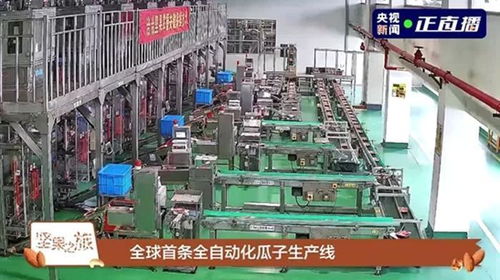 洽洽榮獲第二十屆中國食品安全大會多項殊榮，技術服務引領行業標準